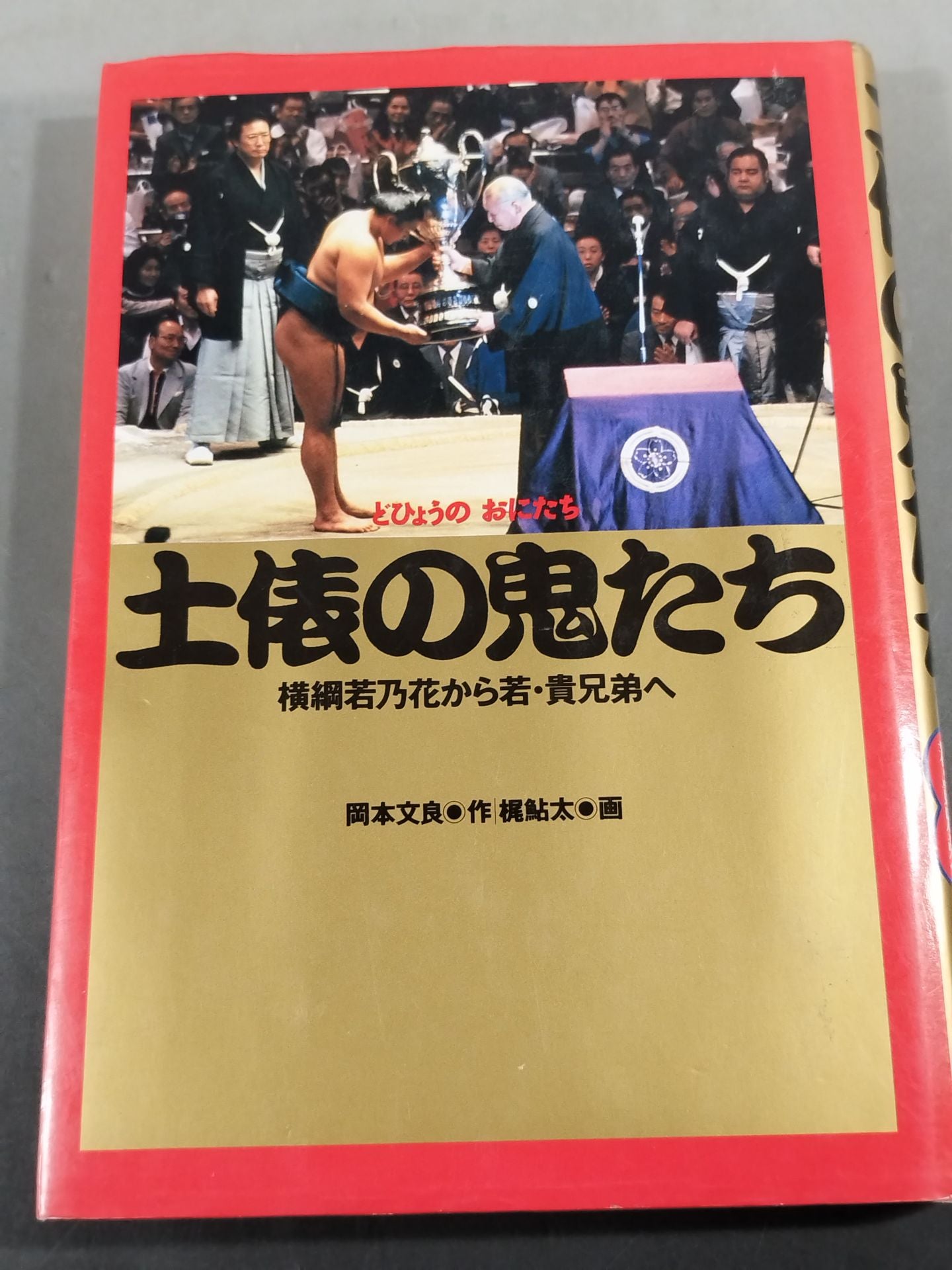 土俵の鬼たち 横綱若乃花から若・貴兄弟へ – 闘道館