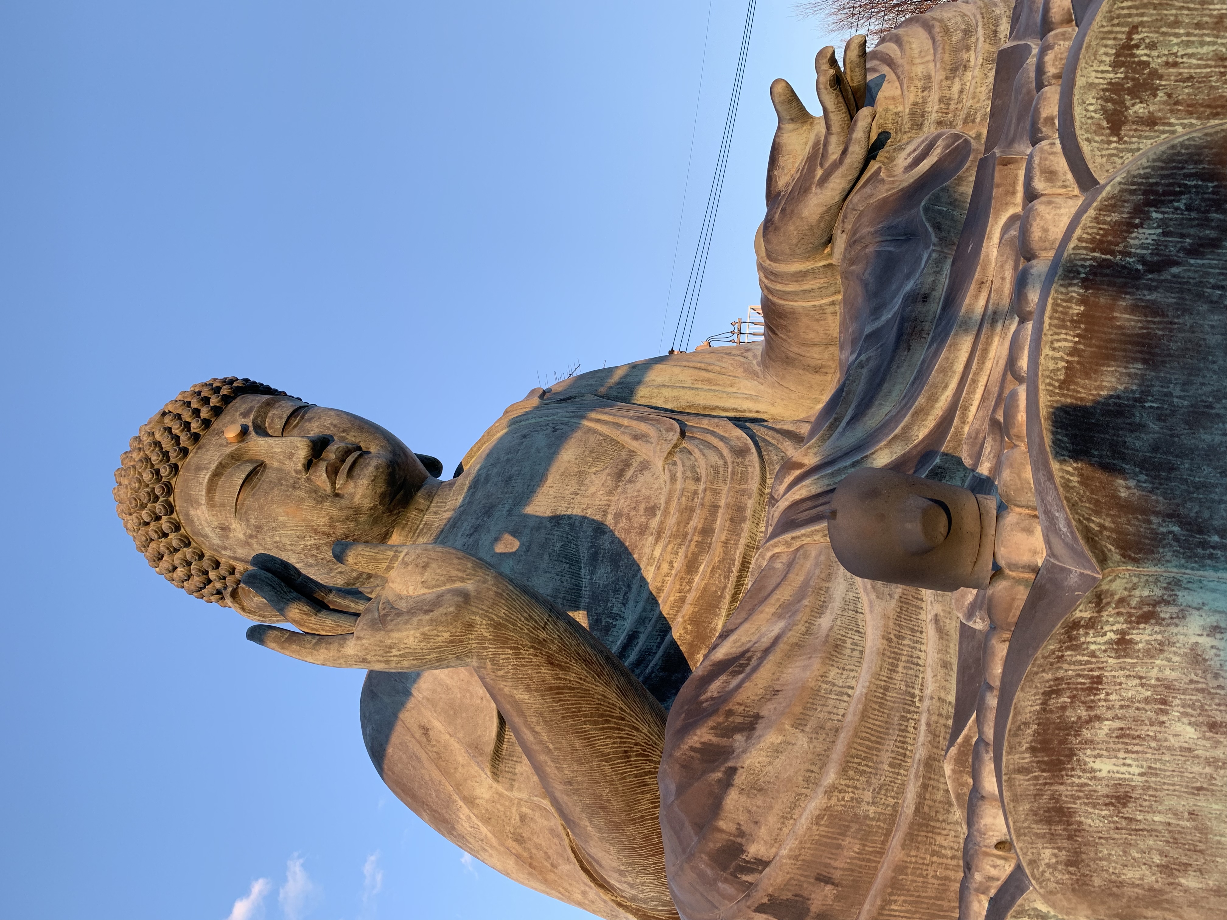 豊田大仏【日野市】