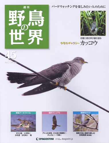 週刊野鳥の世界 全100号 – 知識の泉