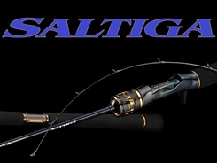 グローブライド（ダイワ） *25ソルティガ LJ EX 61XHS TG