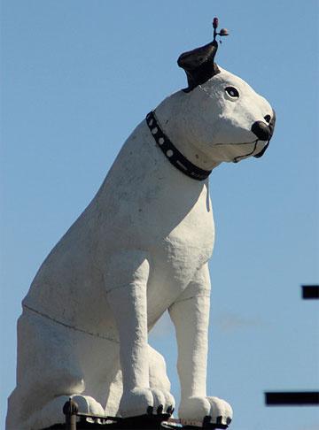 世界のビクター犬（ニッパー君）特集 | soft tempo records magazine