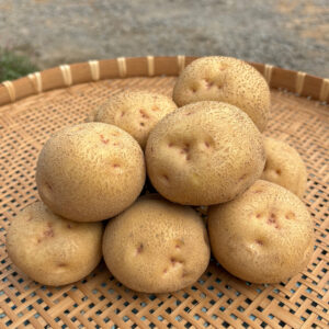 じゃがいも | 北海道ニセコ町の農家 多田農園