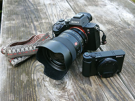 光学30倍ズームのサイバーショット『DSC-HX99』で撮る『尾瀬ツアー2019