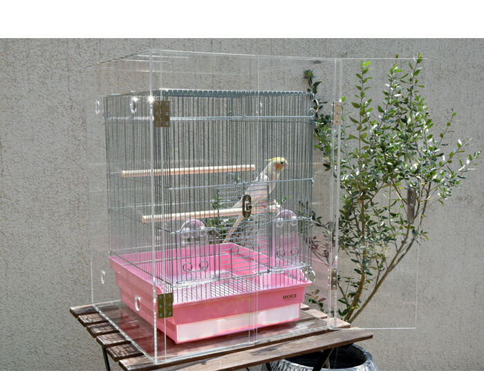 楽天市場】【プレミアム】W450×H590×D485 アクリル バードケージ