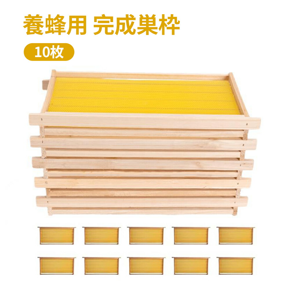 楽天市場】巣 礎 枠の通販