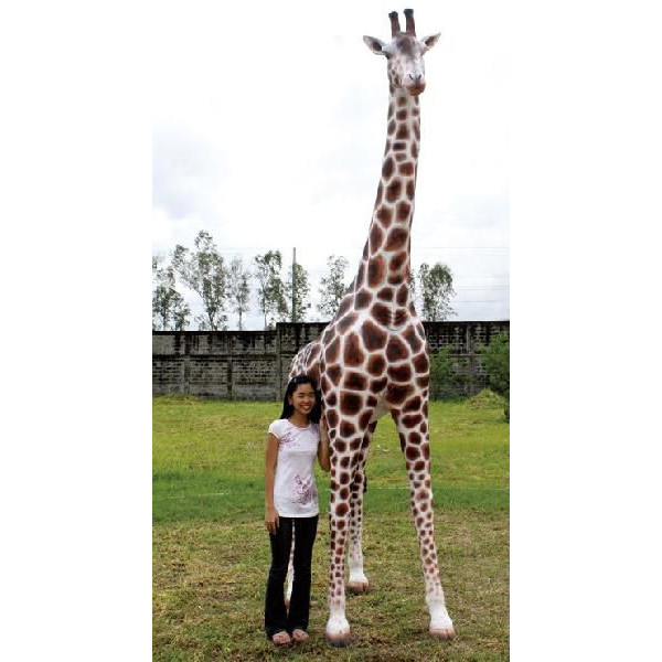 楽天市場】キリン、きりん、麒麟、giraff【親キリン】-アニマルビッグ