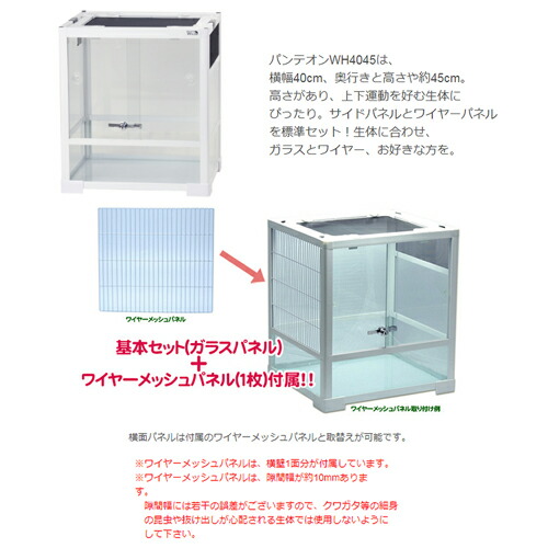 楽天市場】爬虫類ケージ 三晃商会 パンテオン ホワイト WH4045