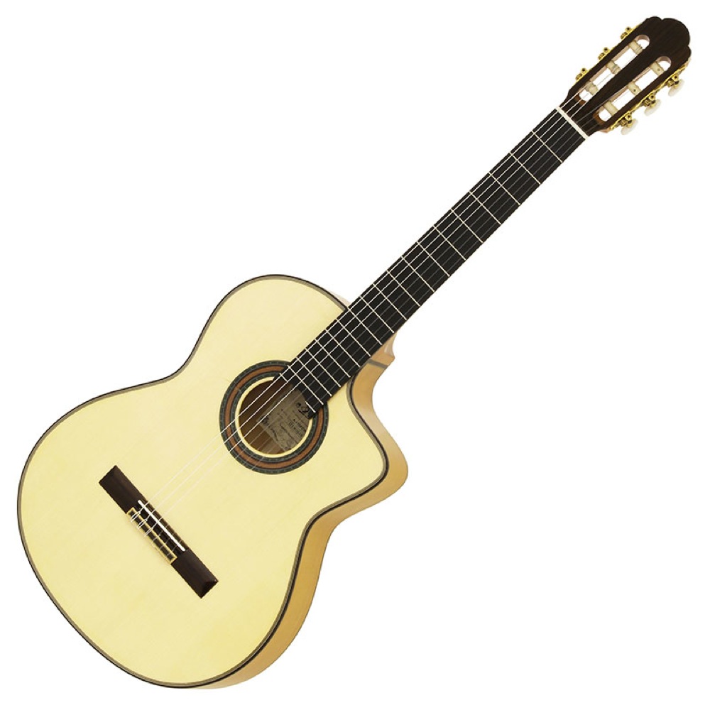 アリア フラメンコギター」の人気商品一覧 | 安い商品を通販サイトから