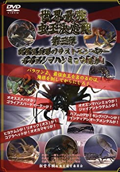楽天市場】世界最強虫王決定戦・毒蟲祭り2008 オオエンマハンミョウ