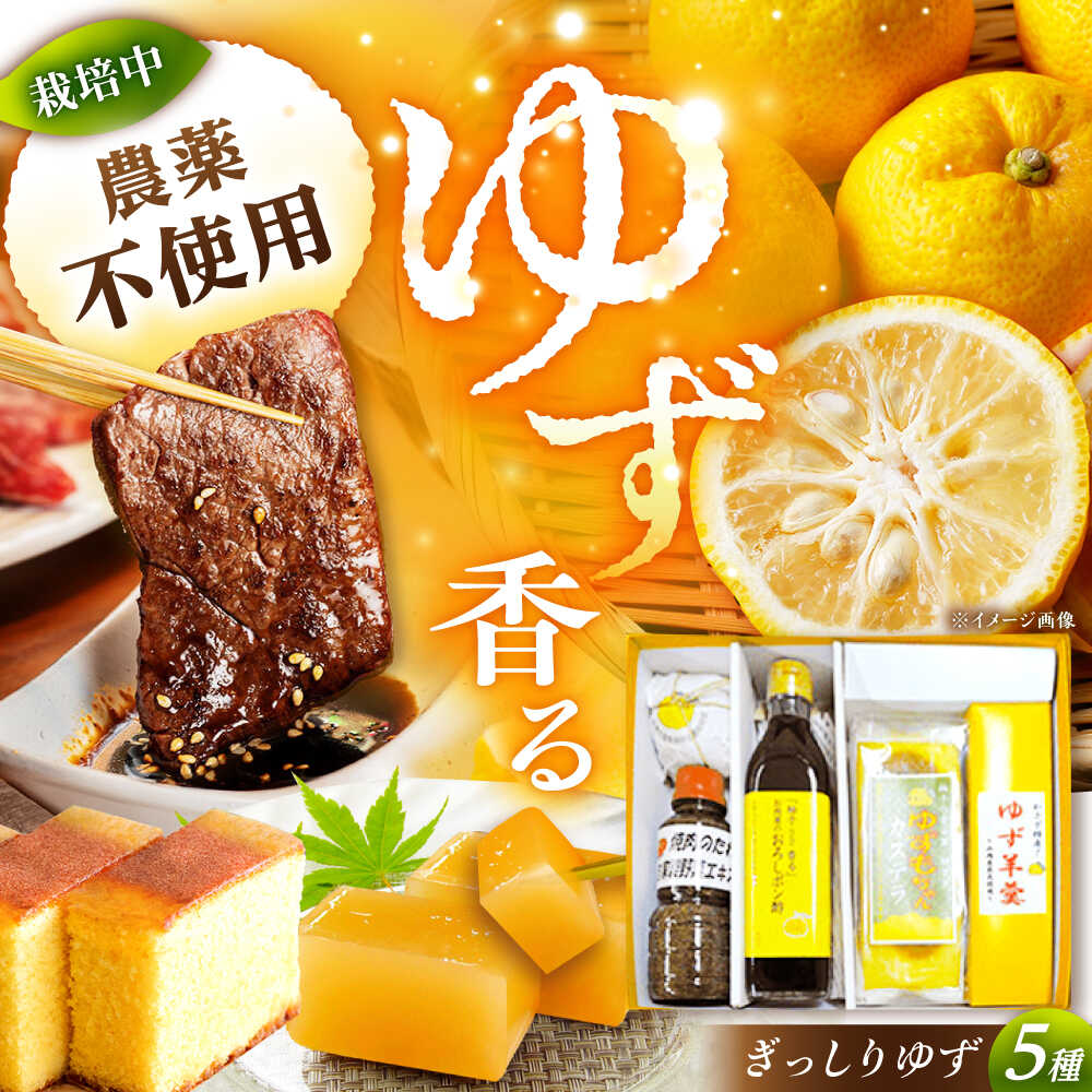 楽天市場】【ふるさと納税】かさぎのゆず ぎっしりゆずセット /ポン酢