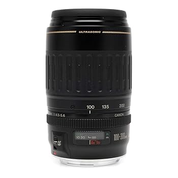 楽天市場】EF100－300MMの通販