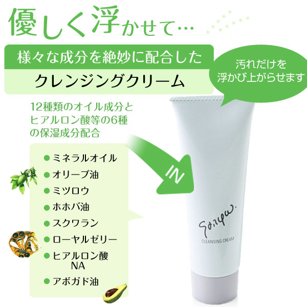 楽天市場】[初回限定！送料無料！]＼LINE300円クーポン／洗顔