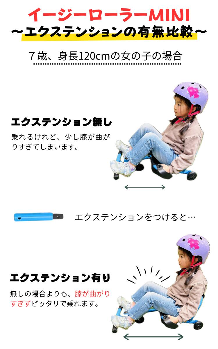 楽天市場】365日出荷対応 即納 イージーローラー ミニ EzyRoller Mini