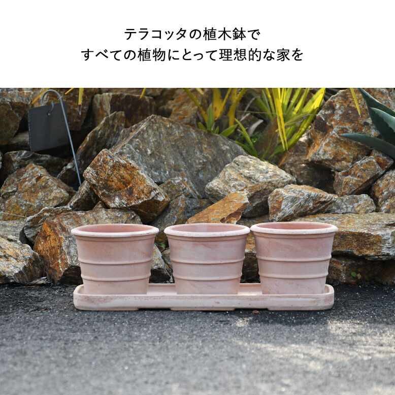 楽天市場】植木鉢 素焼き テラコッタ 3号鉢 おしゃれ 陶器 プランター