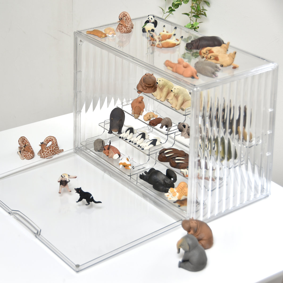 楽天市場】コレクションケース ラダー付き マルチクリアボックス 2個