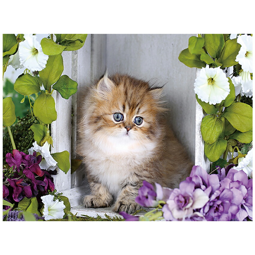 楽天市場】キラキラビーズアート ねこの1日 SCB-427 ／ キャンバス