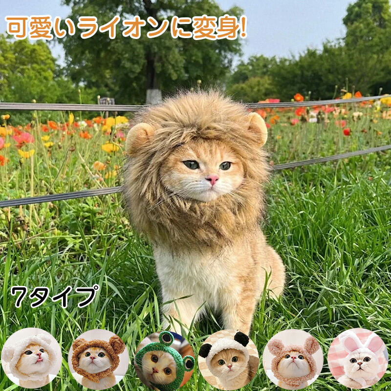 楽天市場】ペット用帽子 被り物 ライオン カエル クマ 小型犬 ねこの