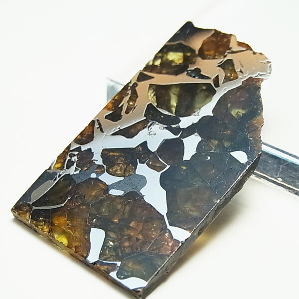 楽天市場】セイムチャン隕石 (SEYMCHAN) パラサイト 隕石【ロシア産