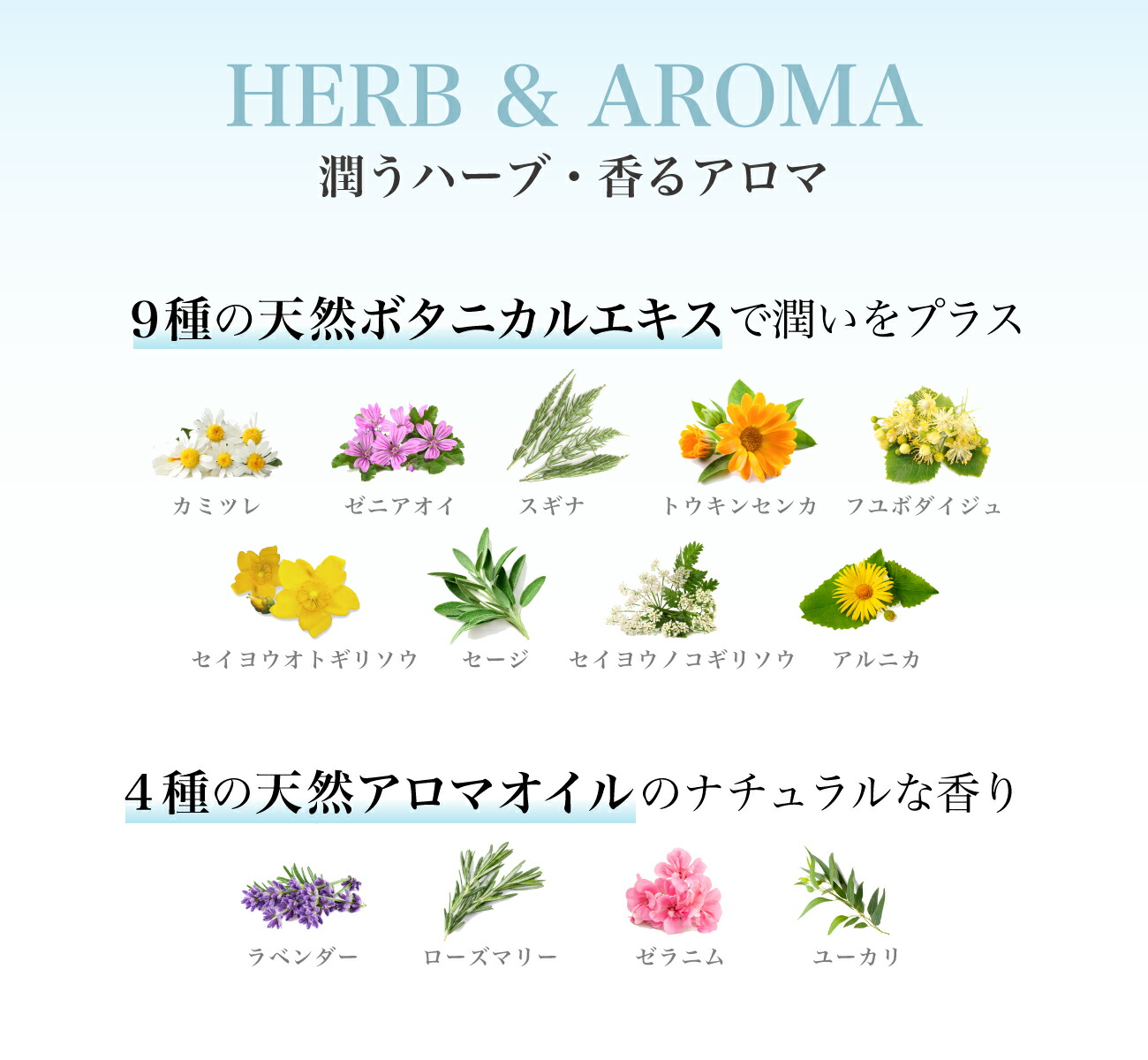 楽天市場】ピンククロス アロマシャンプー&トリートメントセット