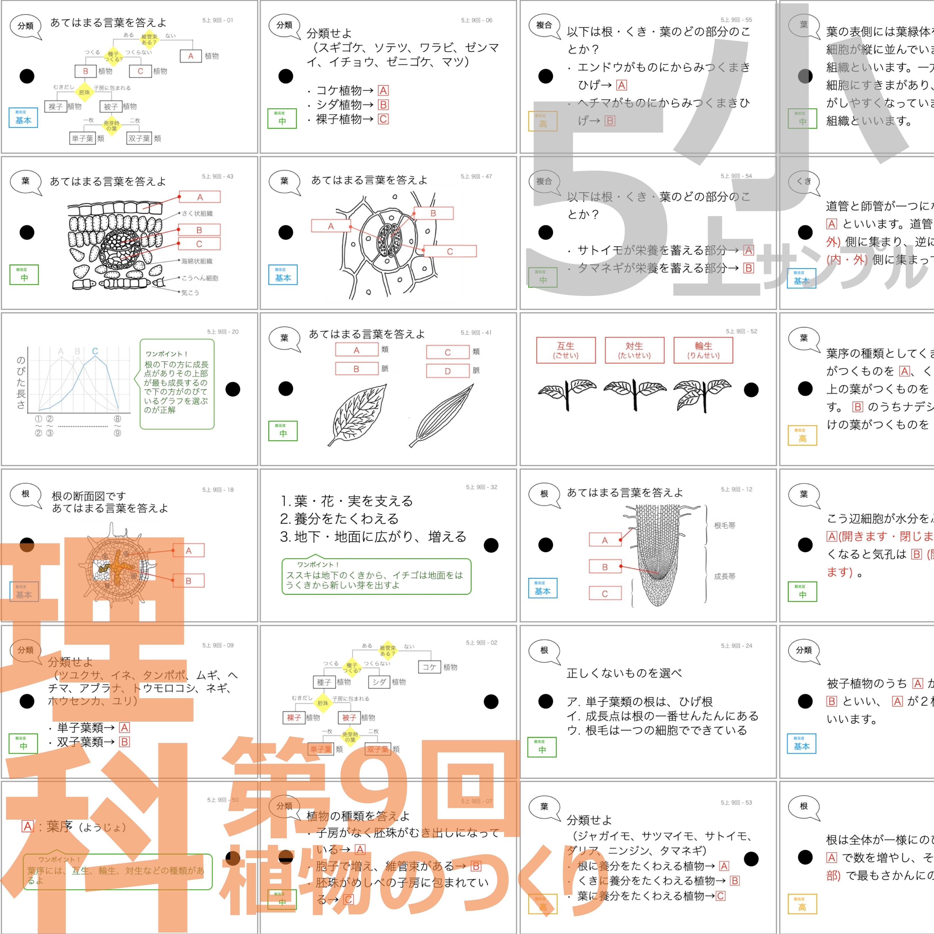 暗記カード）5年生上下理社全セット（上期1~19回、下期1~18回） – TT1