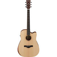 Ibanez Artwood AW150CE Dreadnought AE Guitar, Open Pore Natural
