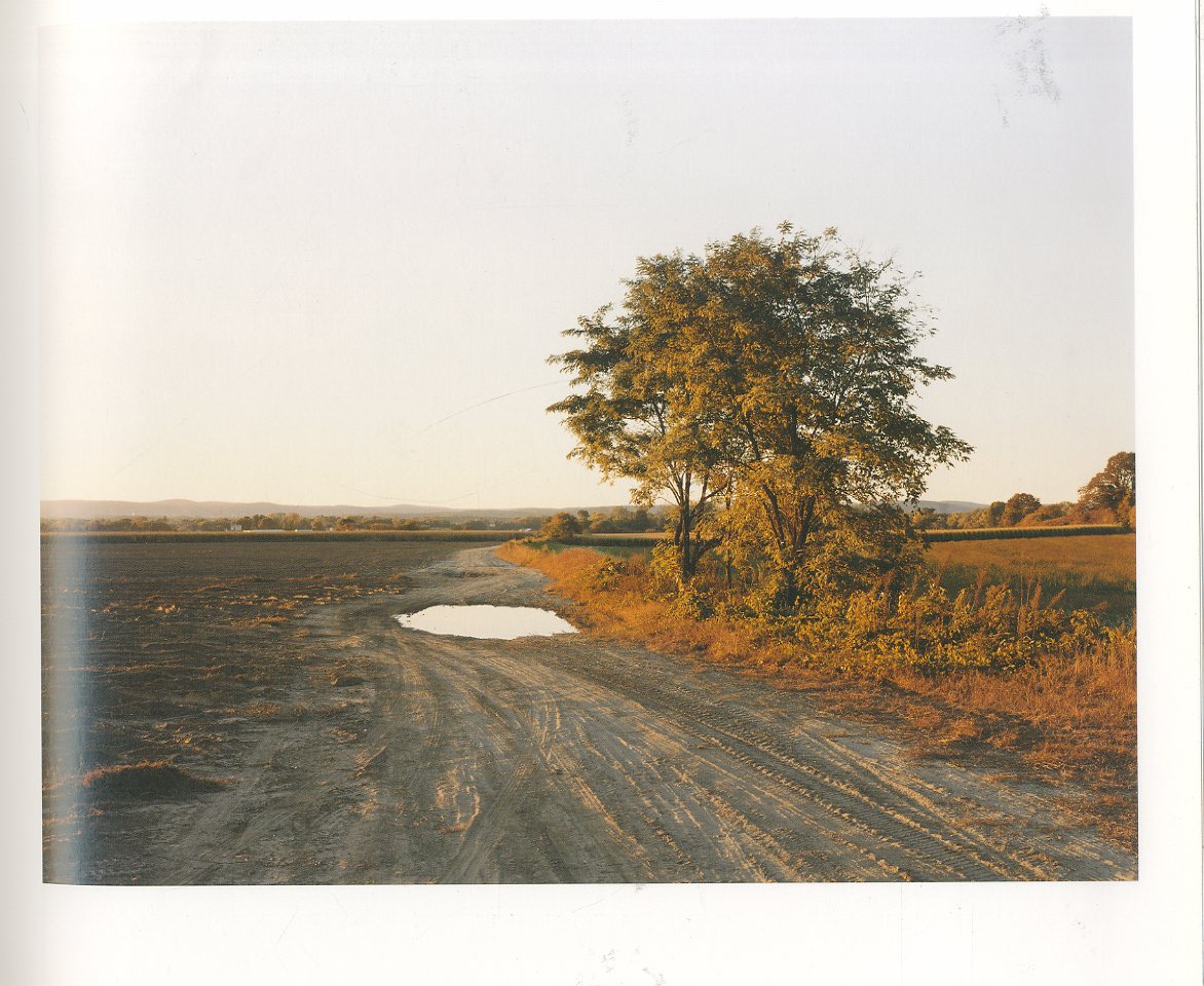 JOEL STERNFELD OXBOW ARCHIVE / Joel Sternfeld | 小宮山書店