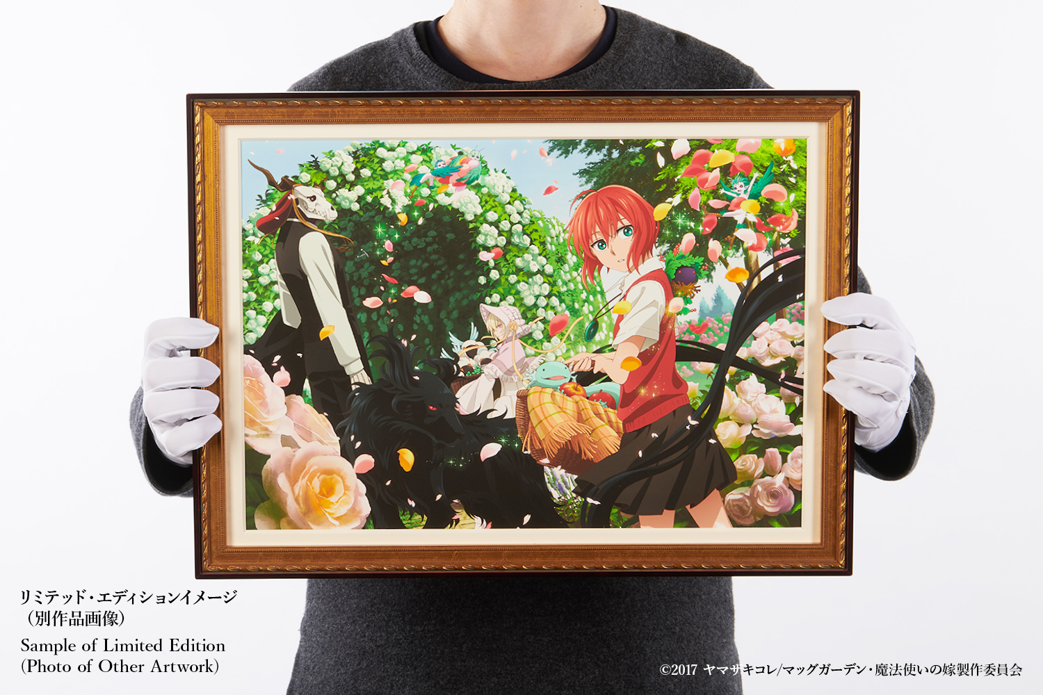 The Ancient Magus' Bride 013 | Anique,