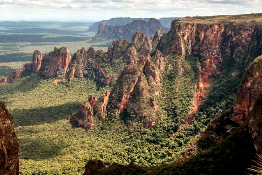 北パンタナール大周遊 ノブレス＆ギマランイス高原とパンタナール大