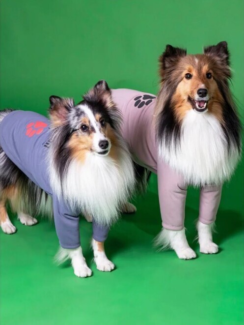 アルファアイコン】ドライニットティー(2024年モデル) - INU