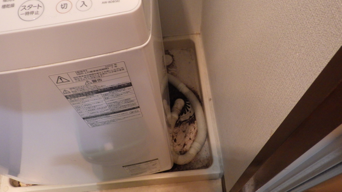 品川旗の台店／洗濯機分解洗浄、東芝AW-8D8(W)を洗ってきました