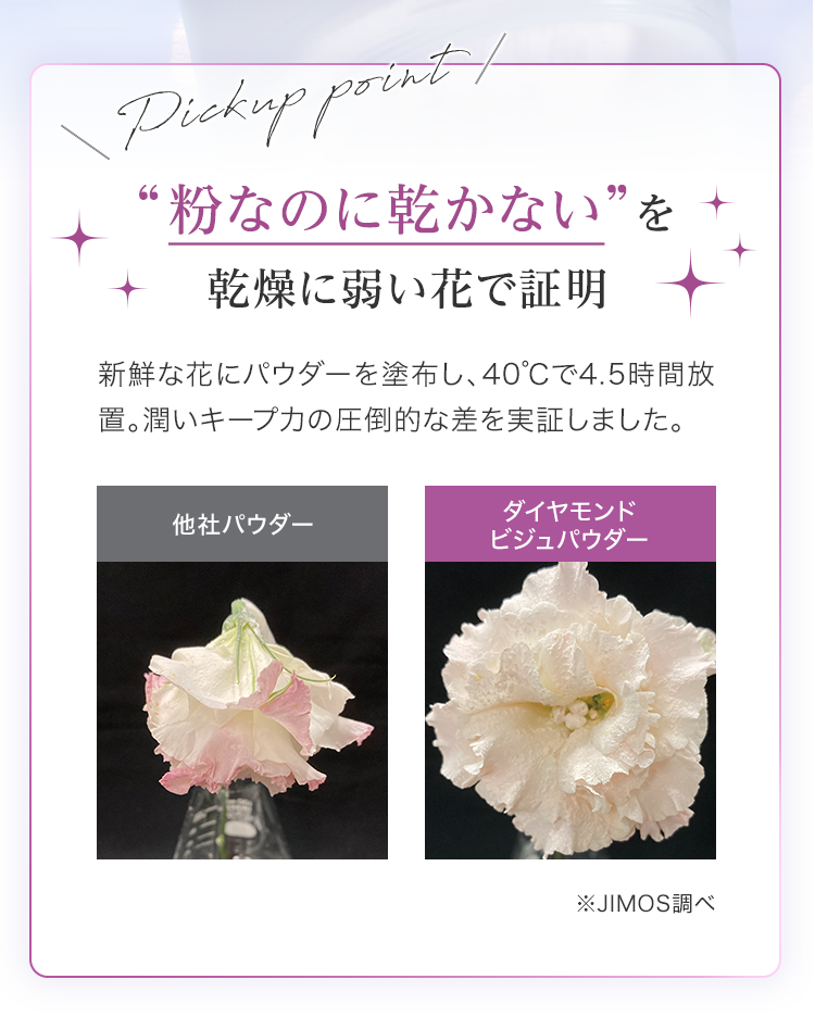 公式]宝石粉おしろい ダイヤモンドビジュパウダー（12g