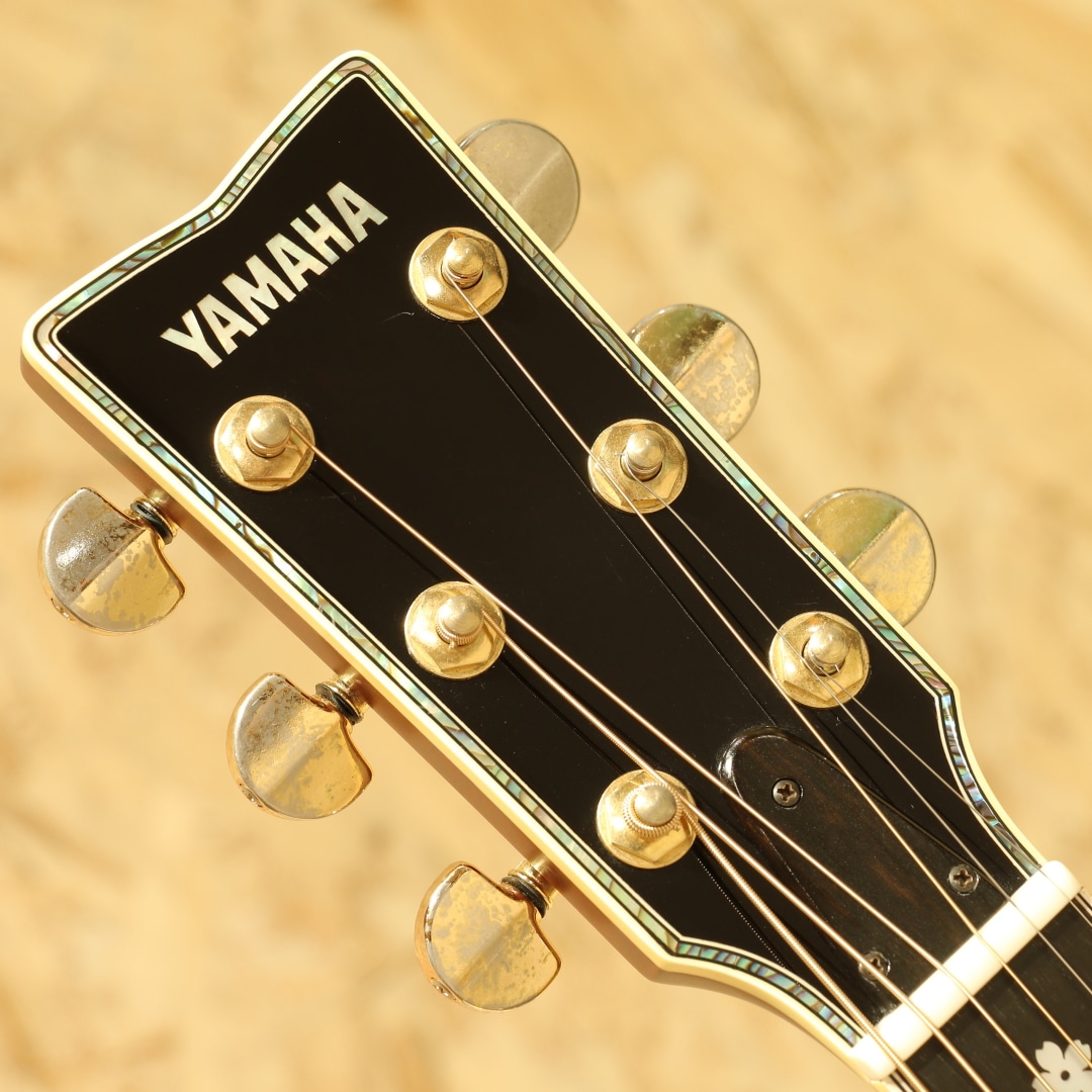 L-53 Custom Jacaranda 1980: アコースティックギター｜三木楽器公式