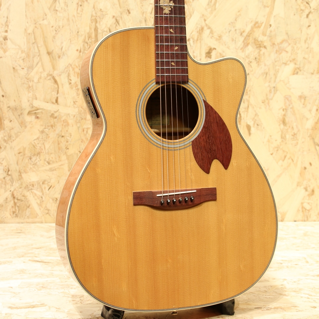 HEADWAY(ヘッドウェイ） Acoustic guitar 一覧 | 三木楽器公式通販