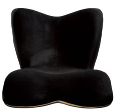 Style PREMIUM」ならびに「Style PREMIUM DX」に関するお詫びとお願い