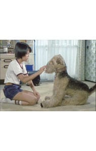 昭和の名作ライブラリー 第20集 ふしぎ犬トントン HDリマスター DVD