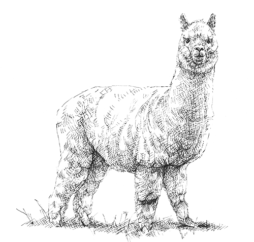 N-071 / ARCHIVE / NAHYAT