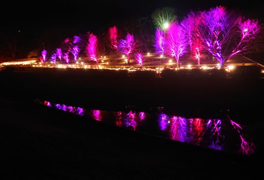 静峰ふるさと公園イルミネーション2024 花ホタルのもり」を開催しま