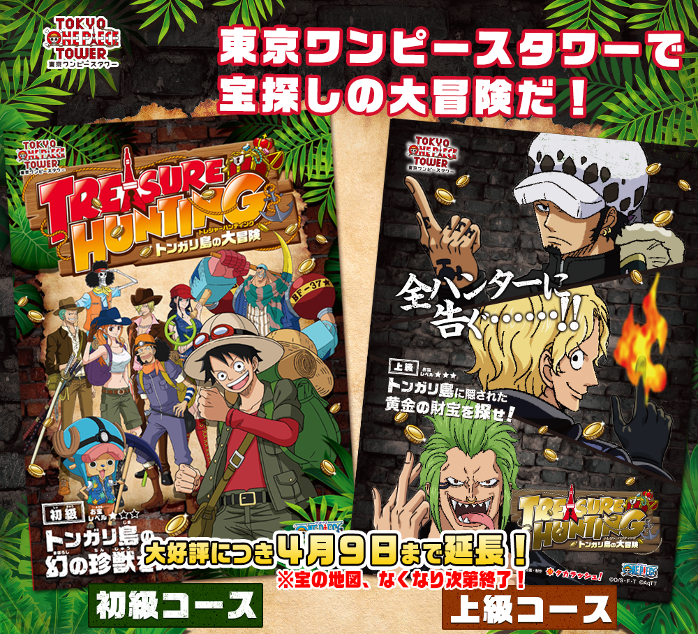 トレジャーハンティング トンガリ島の大冒険｜東京｜リアル宝探しタカ