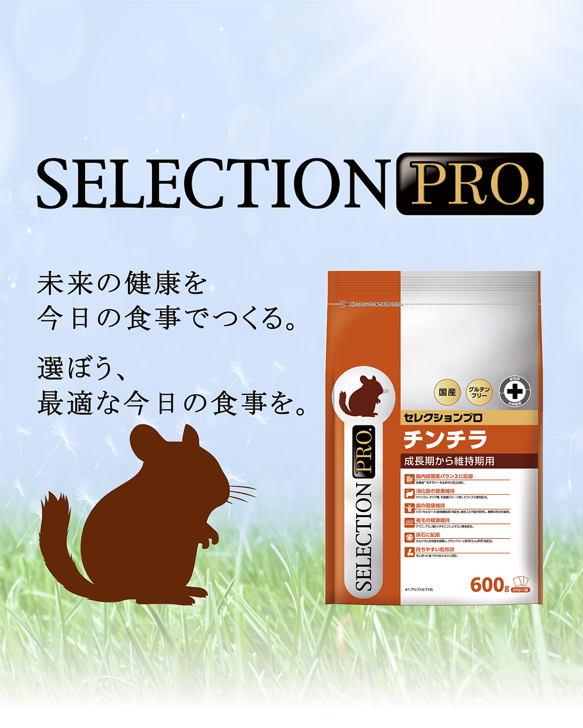 CHINCHILLA SELECTION PRO.｜ブランドサイト ― TOP