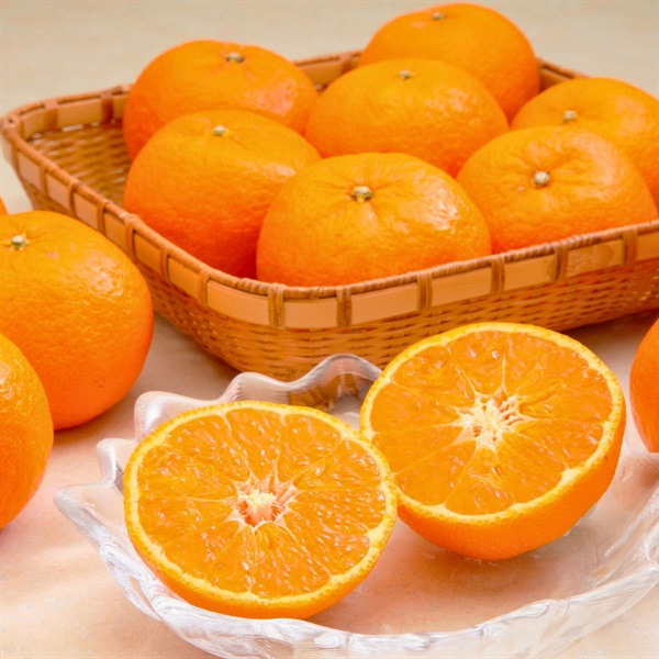 津之輝（つのかがやき） 2月上旬発送開始 | 全農食品オンラインショップ