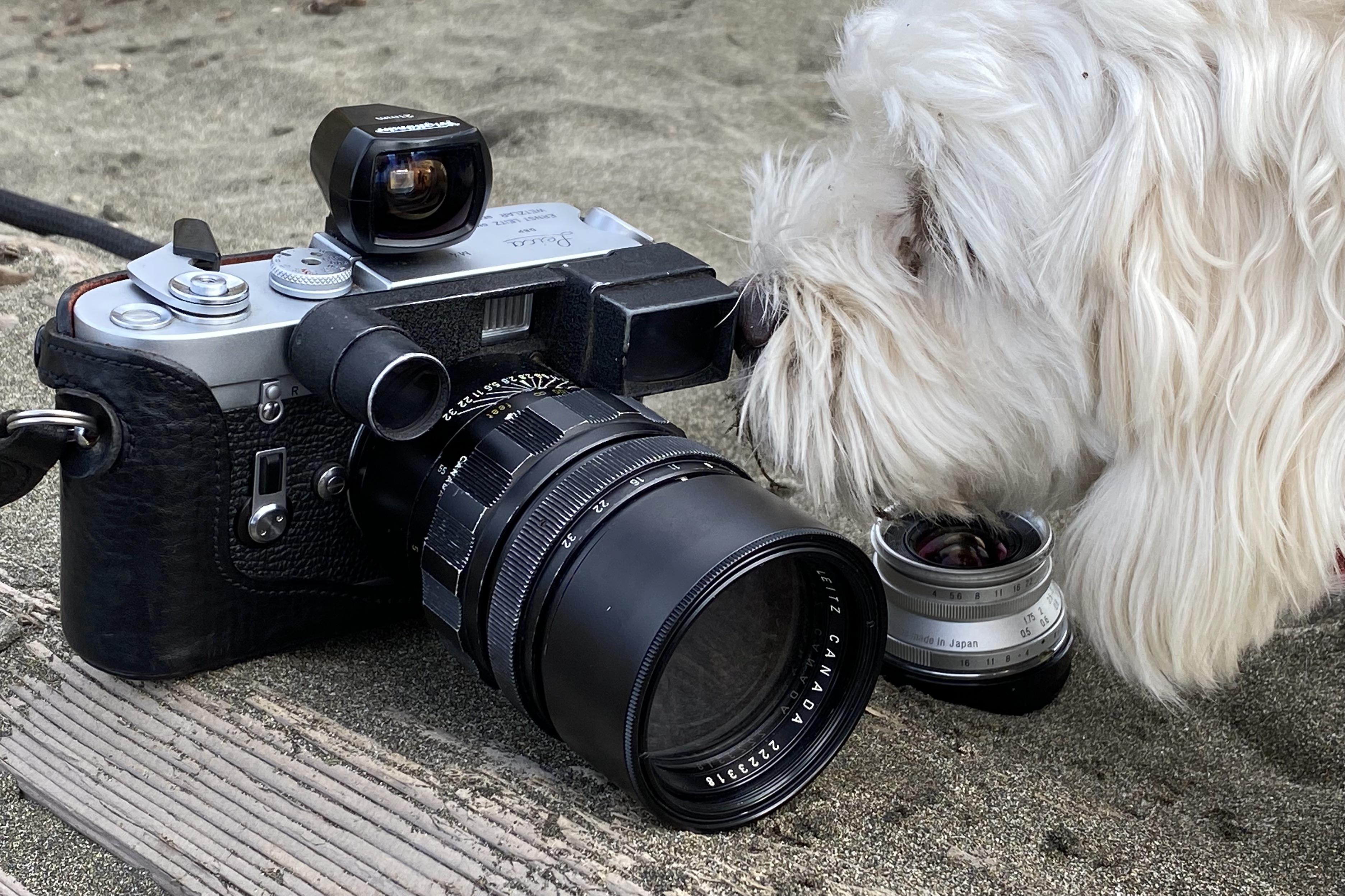 Elmarit-M 135 2.8 update : r/Leica