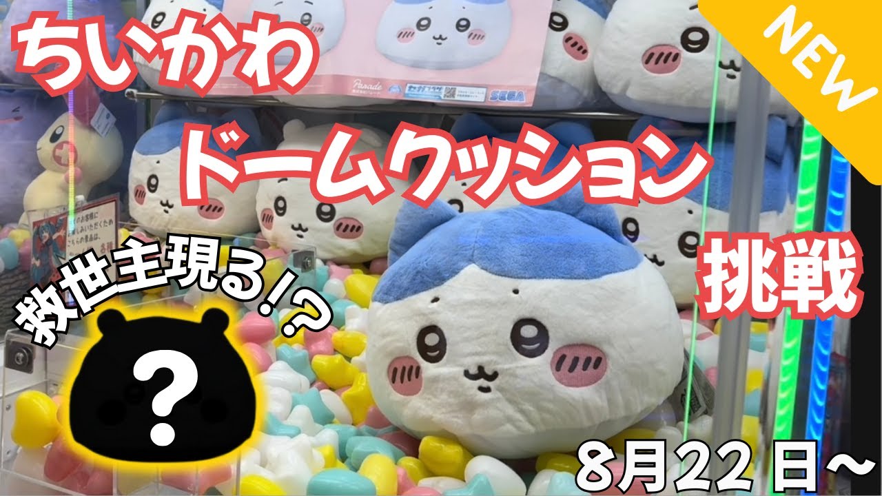 ちいかわ ハチワレ ドームクッション プライズ初日挑戦！8月22日