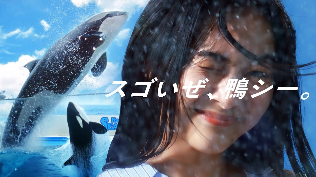 55th Anniversary Year」開催中｜鴨川シーワールド-東京・千葉の水族館