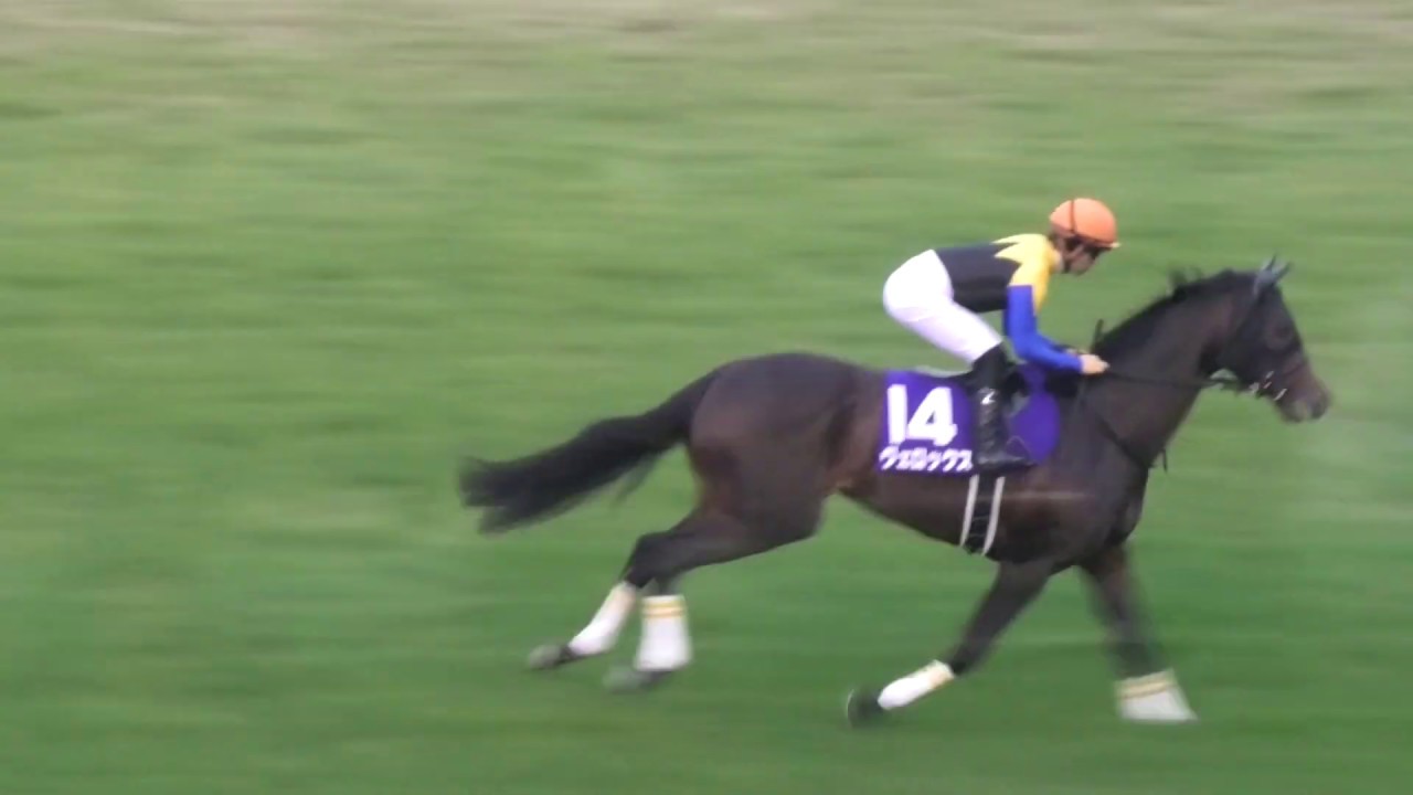 圧倒的大差リスグラシュー勝利!! 第64回 有馬記念GⅠ 本馬場入場 現地