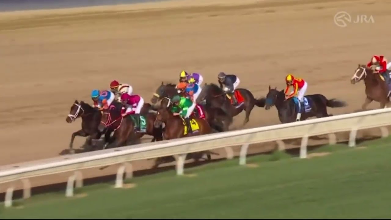 2025 BCクラシック(レース&フォーエバーヤング陣営の表情)ワイプあり