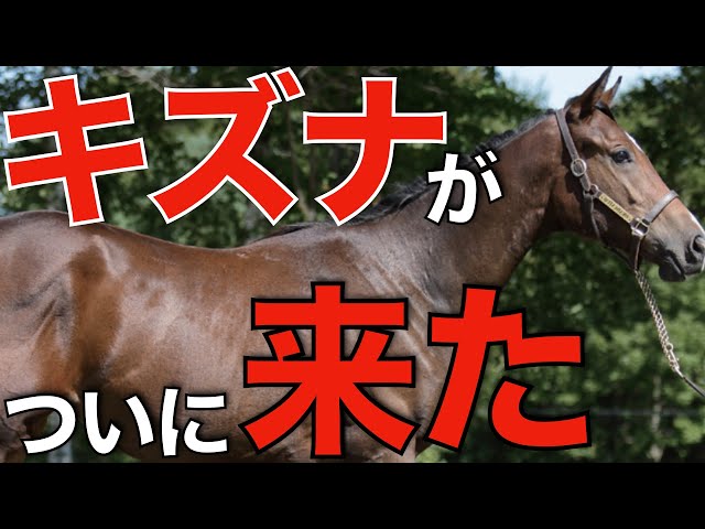 Long-cherished wish fulfilled] Kizuna's offspring finally wins a