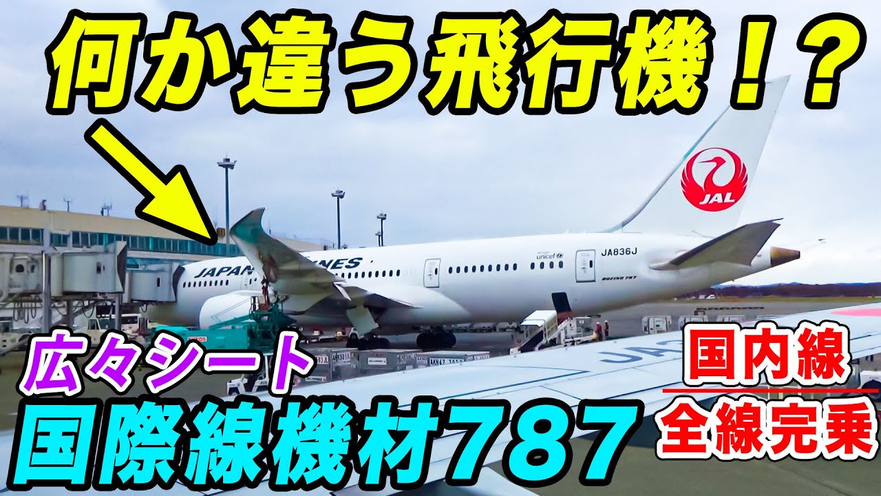 JAL】国際線機材、豪華B787-8投入！世界最高峰のエコノミーにて快適な