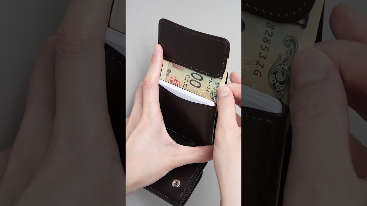 ミニ財布《ステラ》クロコダイル｜WILDSWANS(ワイルドスワンズ