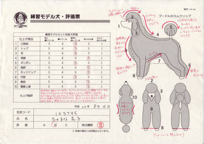 通信】トリミング講座 | ヒューマンアカデミー（通信） 通信講座*『た