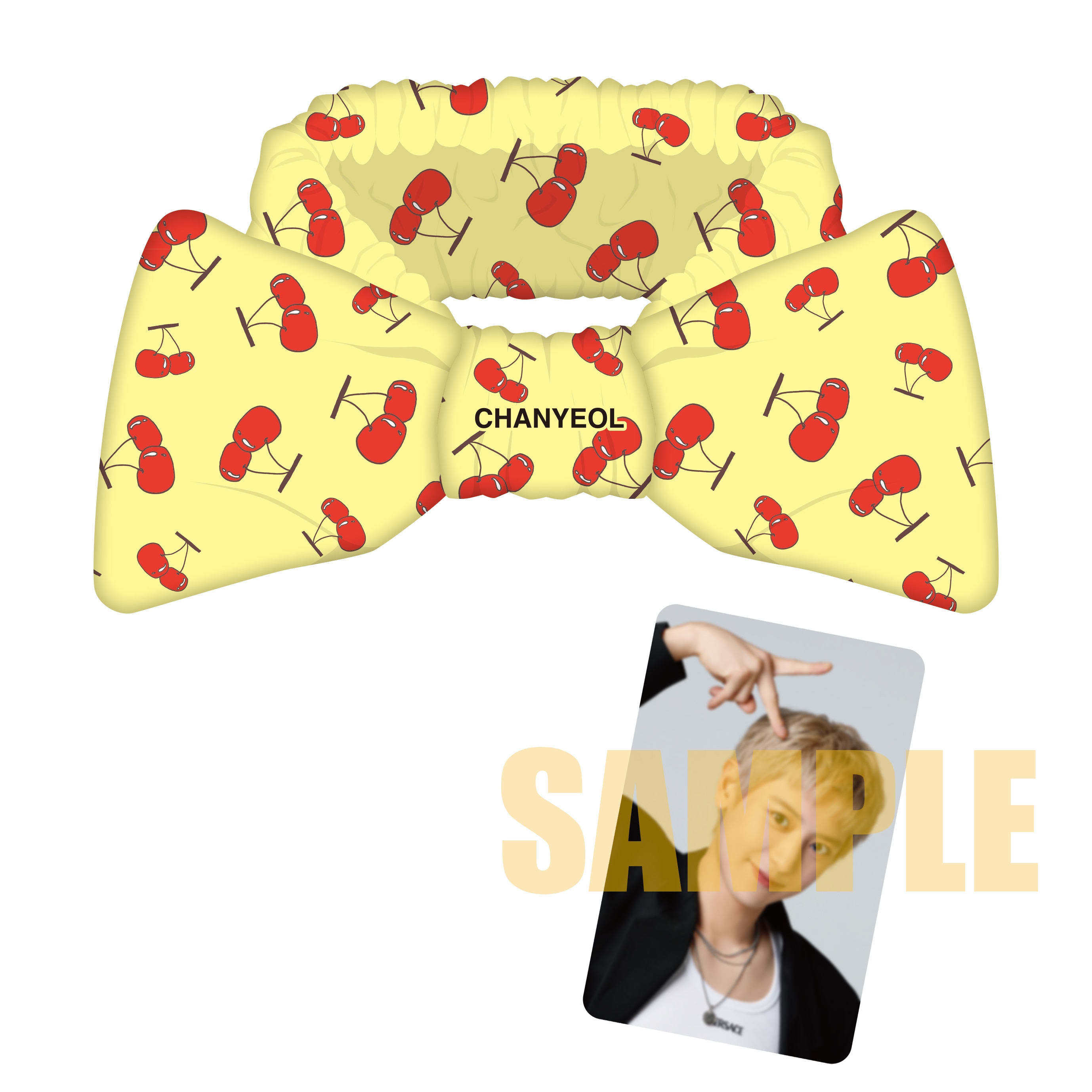 2024 CHANYEOL LIVE TOUR : 都市風景 (City-scape) in JAPAN』グッズ